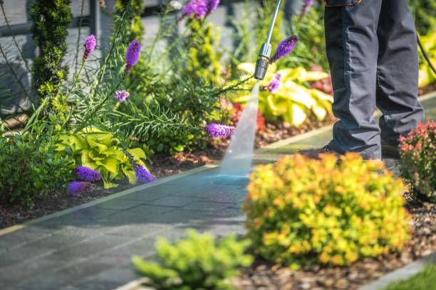 Best Gutter Cleaning  in Eddyville, KY