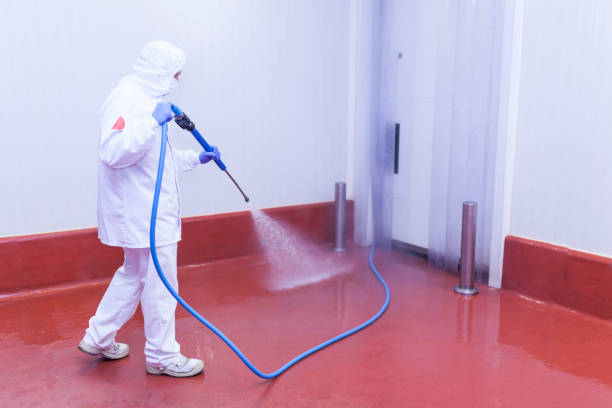 Best Sidewalk and Walkway Cleaning  in Eddyville, KY